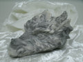 tete de dragon