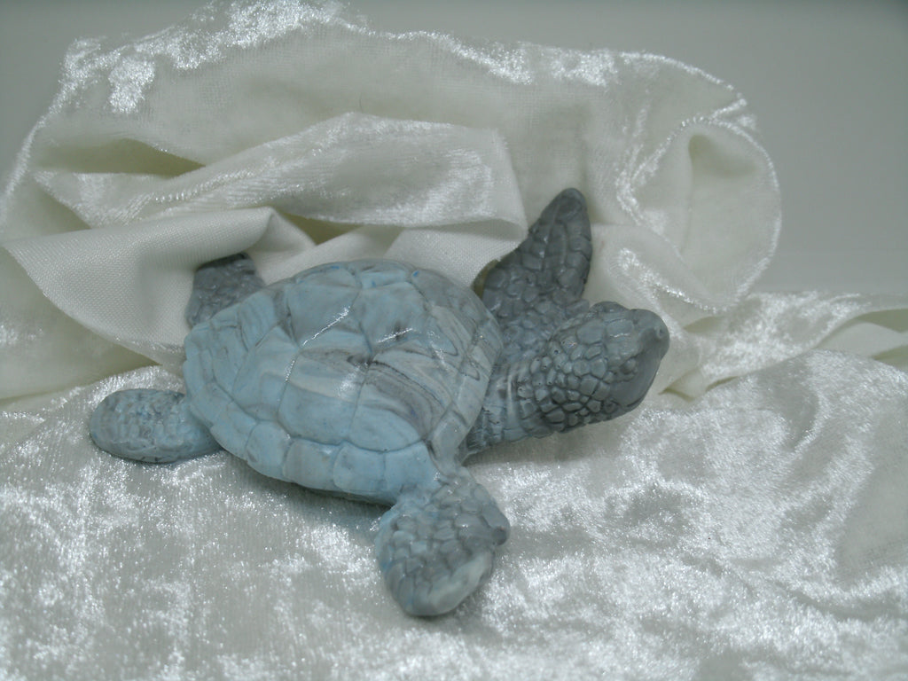 tortue