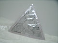 case tête triangle