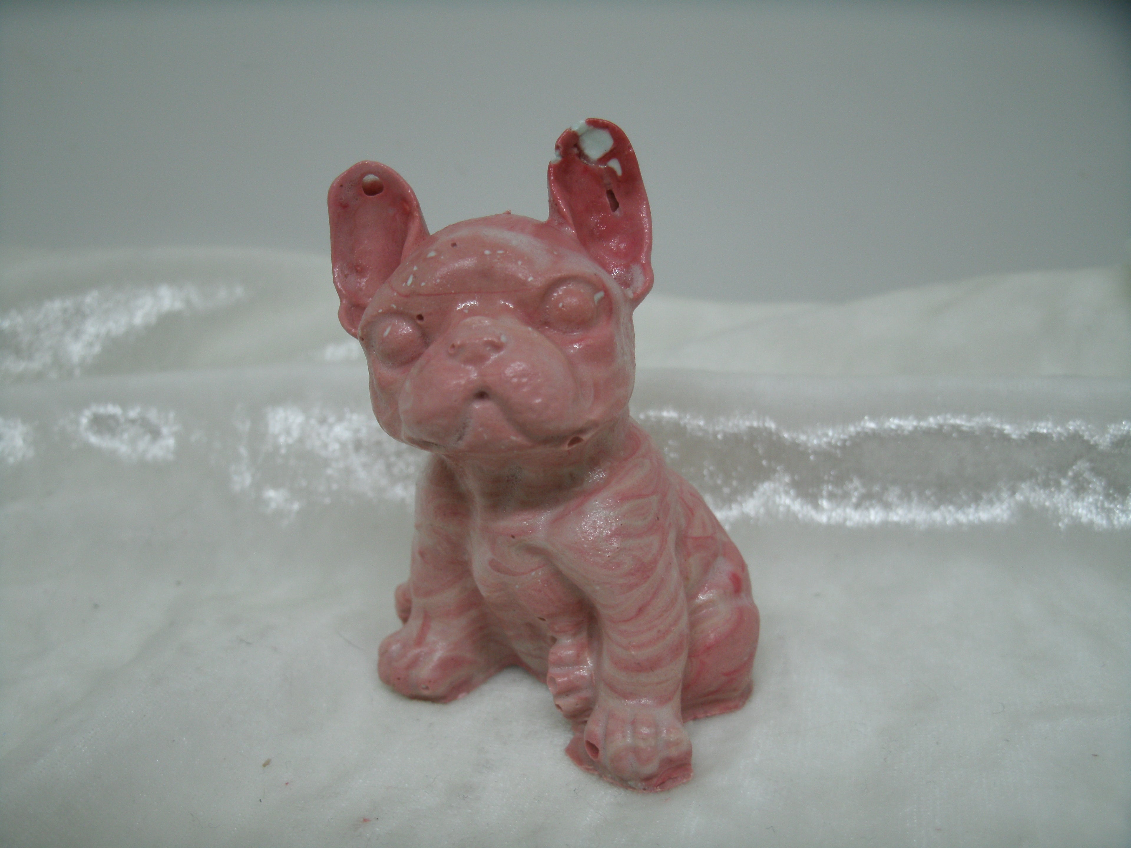 Franse bulldog
