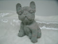 boule dog francais