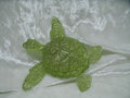 Tortoise