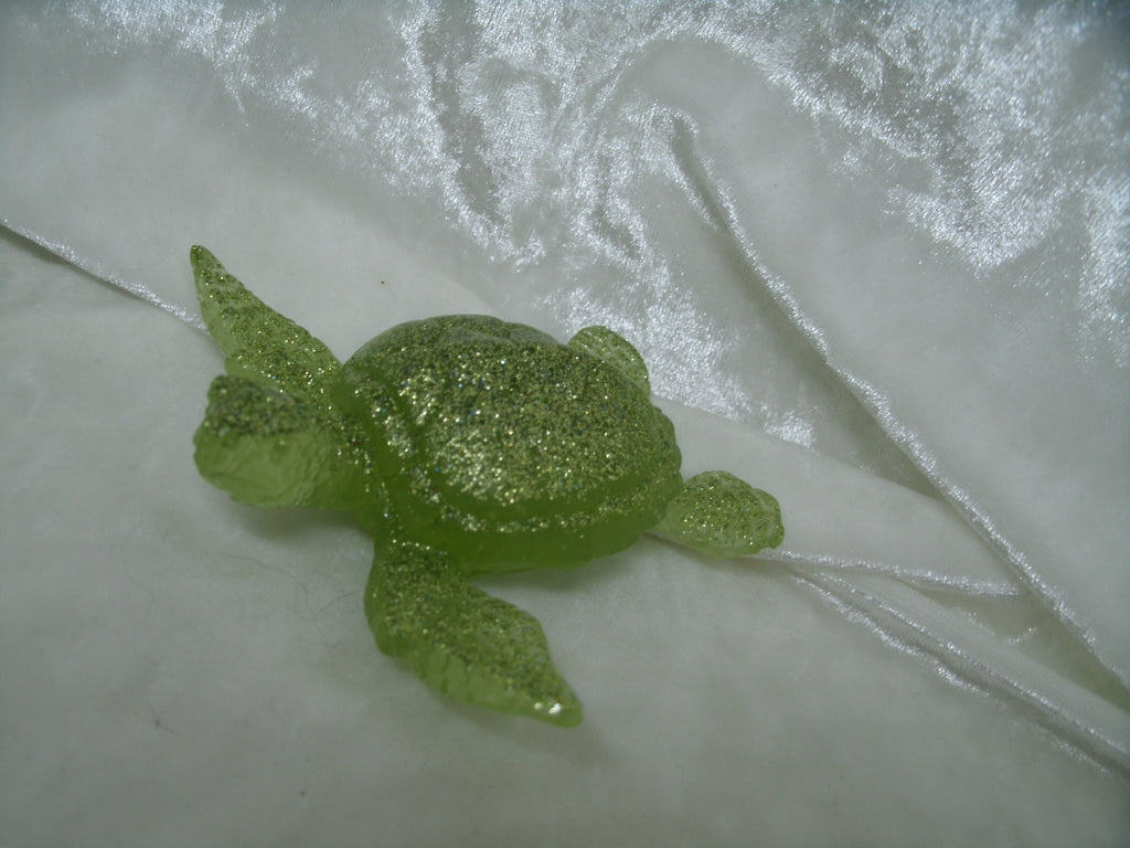 Tortoise