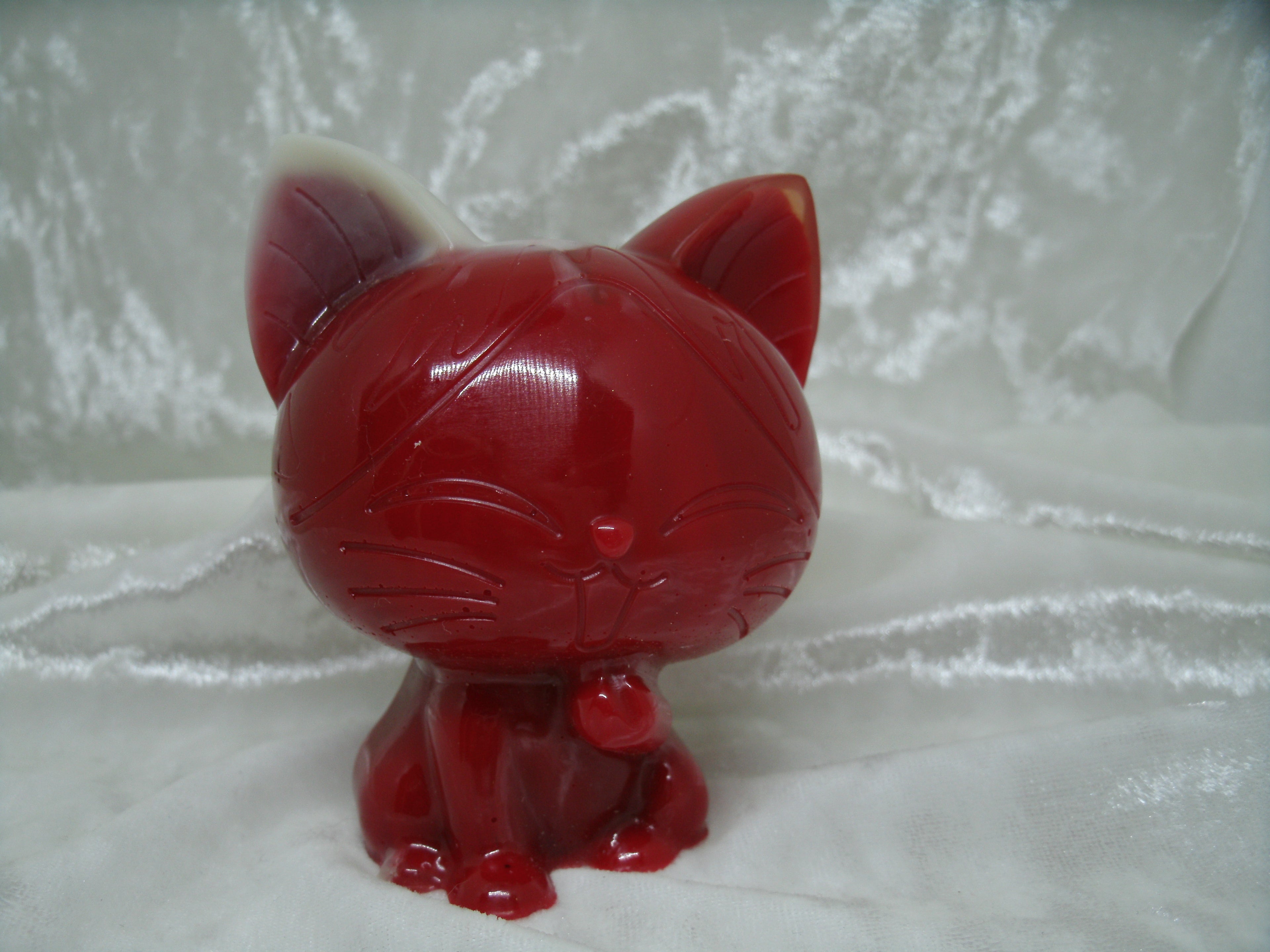 Pop kat