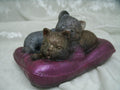 Duo de chatons sur leurs oreillers