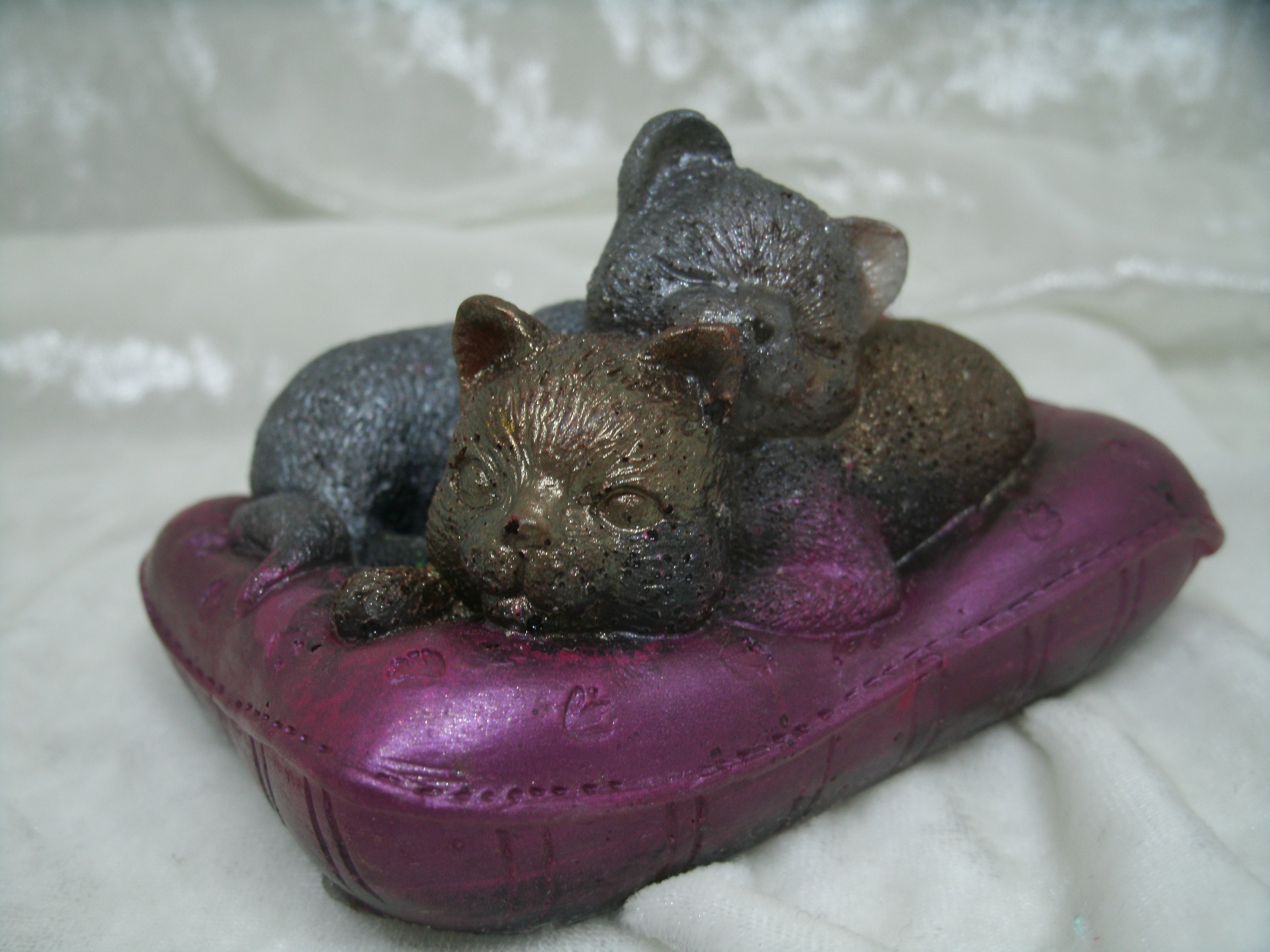 Duo de chatons sur leurs oreillers