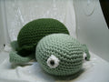 tortue de mer